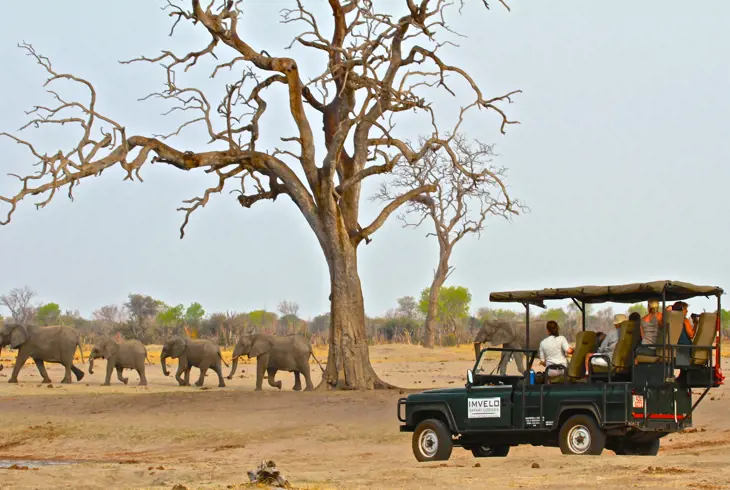 Game Drive i Hwange nasjonalpark - Safari i Zimbabwe