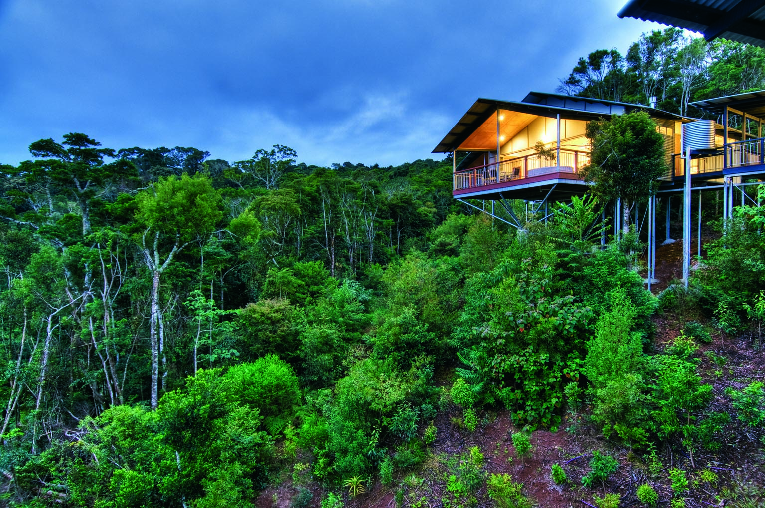 O'Reilly's Rainforest Retreat har en spektakulær beliggenhet i ett med naturen