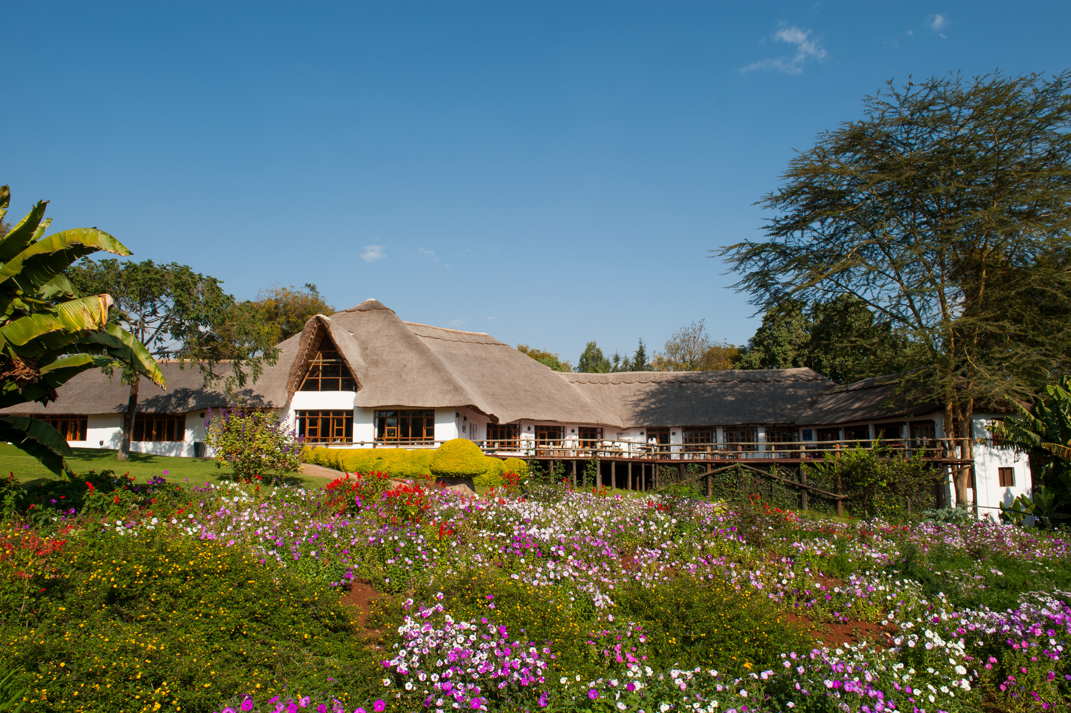 Ngorongoro Farm House byr på vakre omgivelser - Safarilodger i Tanzania. Foto: Ngorongoro Farm House