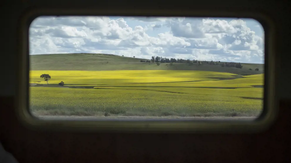 Se frem til naturskjønne omgivelser utenfor togvinduet. Foto: Great Southern Railroad