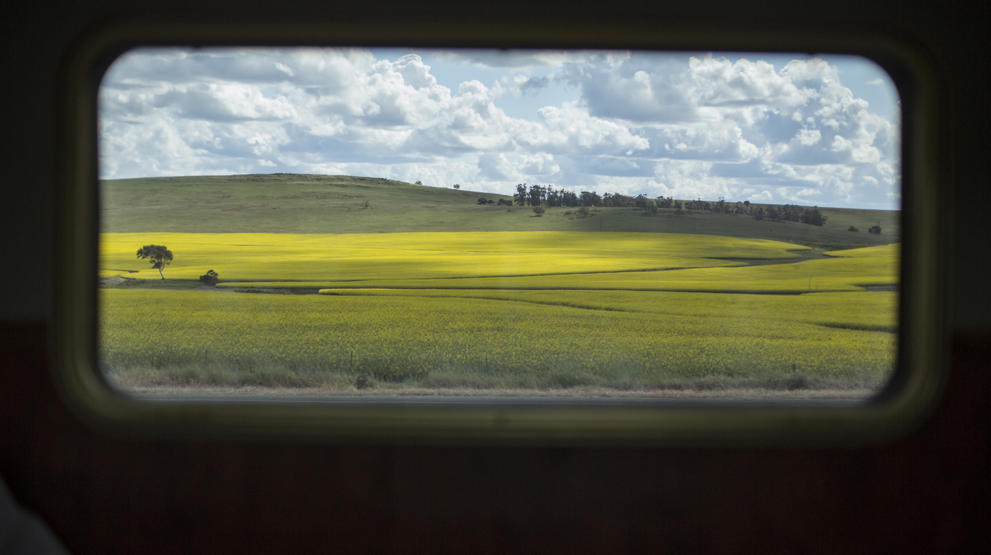 Se frem til naturskjønne omgivelser utenfor togvinduet. Foto: Great Southern Railroad