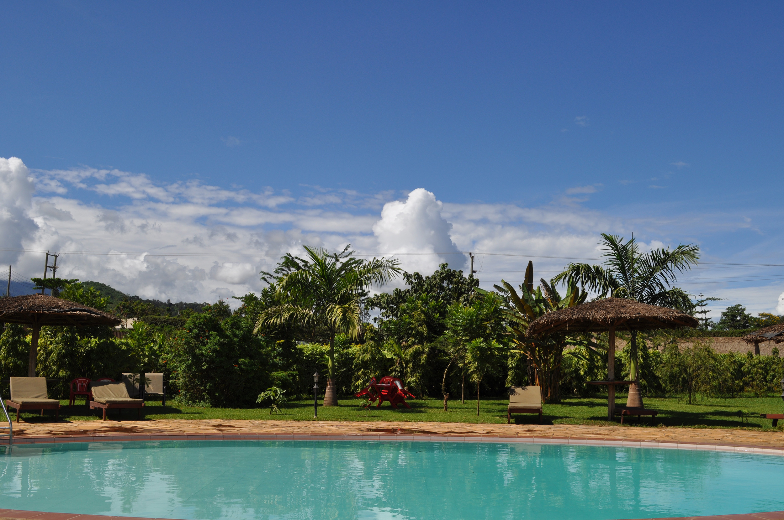 Slapp av ved svømmebassenget - Lodger i Tanzania. Foto: Planet Lodge