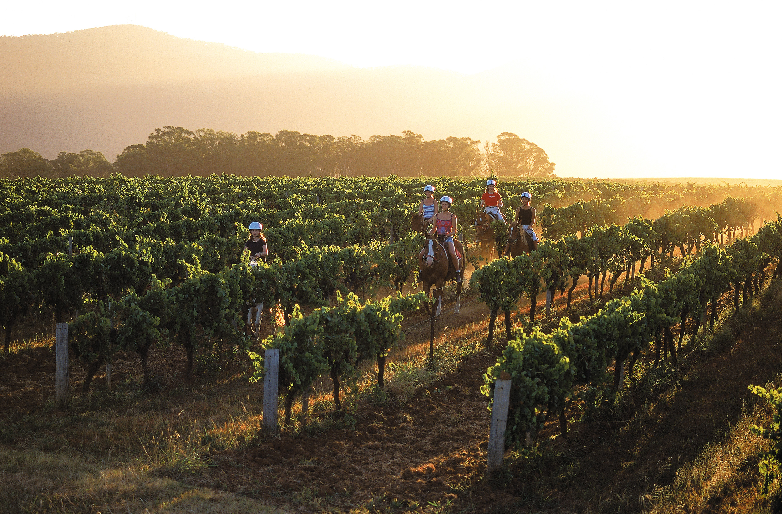 Hotellet tilbyr mange gøyale aktiviteter, for eksempel hesteridning - Overnatting i Hunter Valley. Foto: Hunter Valley Resort
