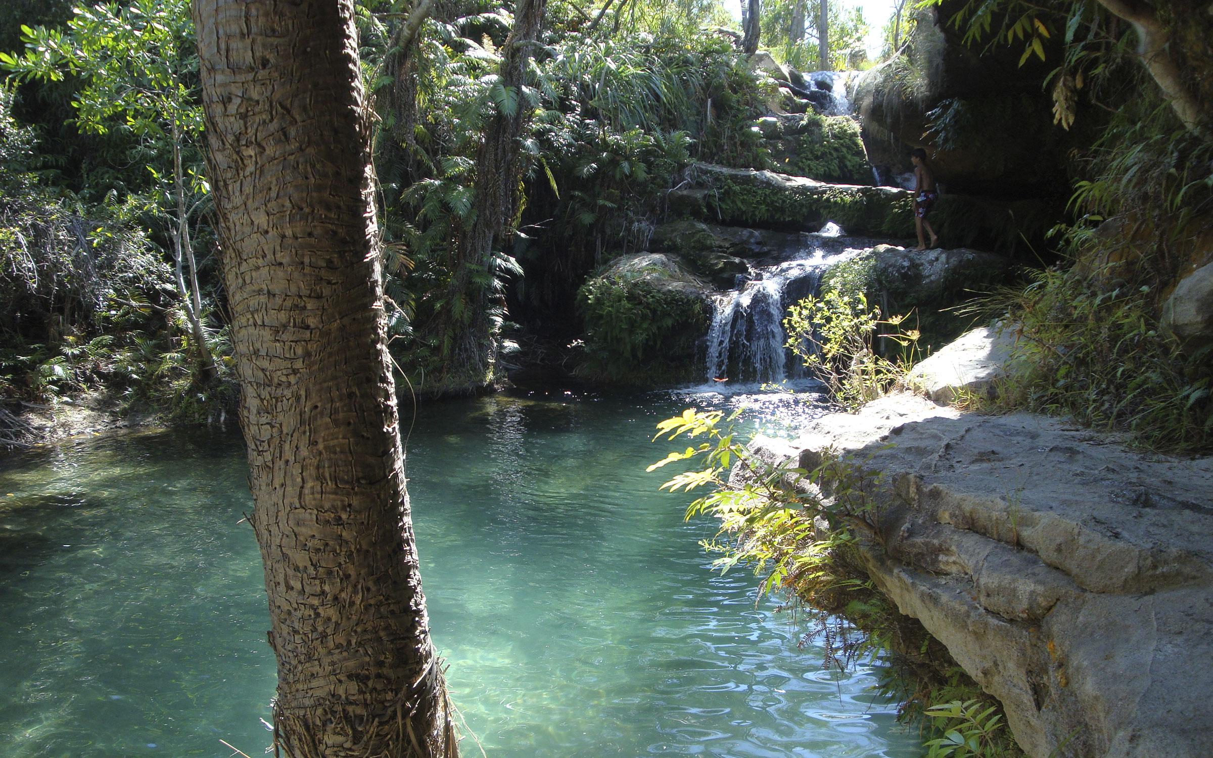 Besøk flotte Isalo National Park med naturlige bassenger og endemiske planter