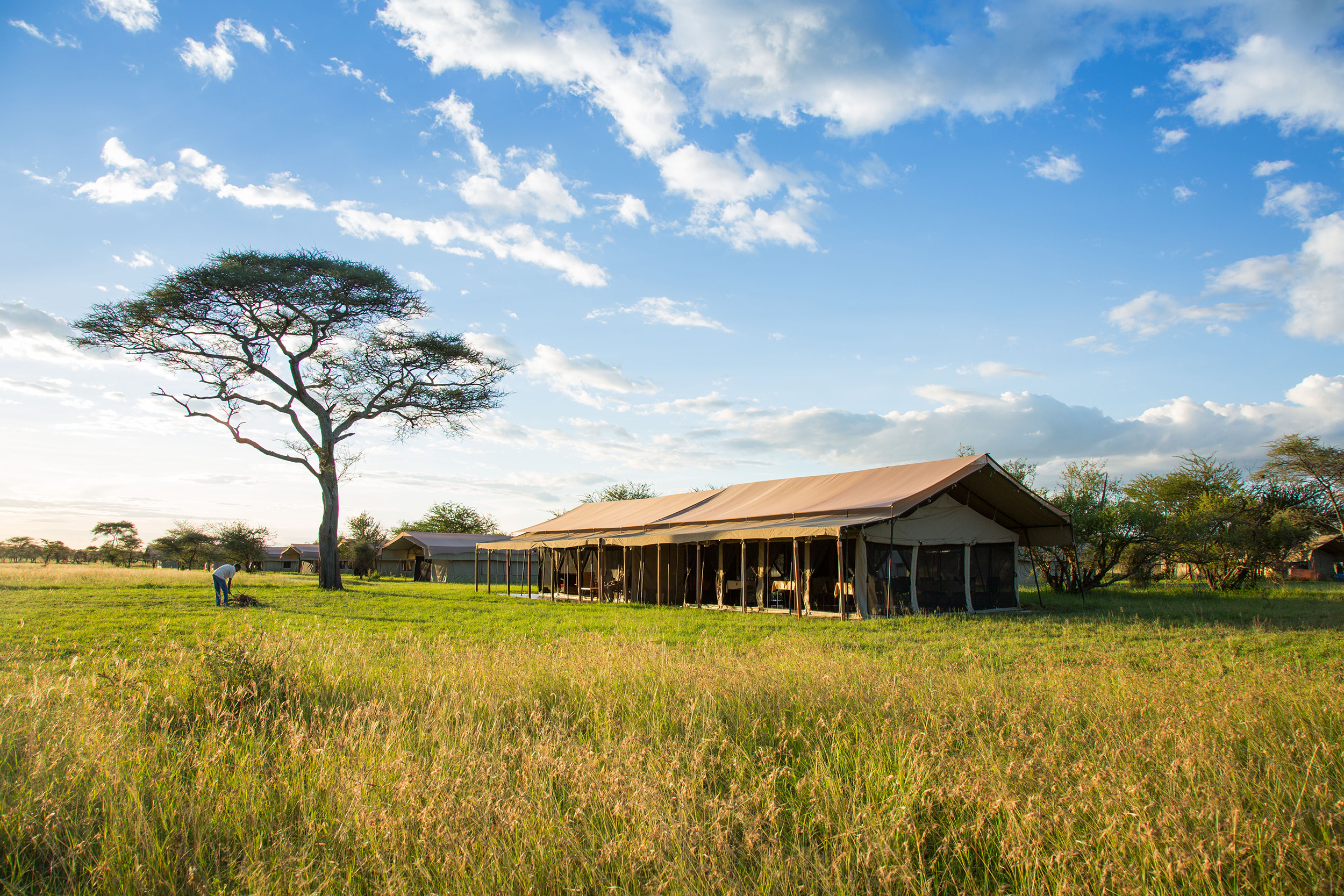 På ThornTree Camp bor dere i ett med naturen - Safaricamper i Serengeti. Foto: ThornTree Camp