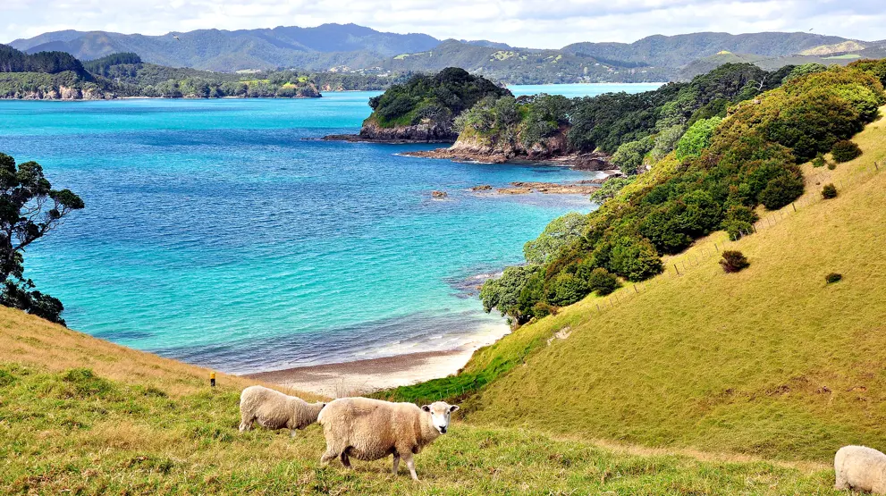 Bay of Islands på Nordøya på New Zealand