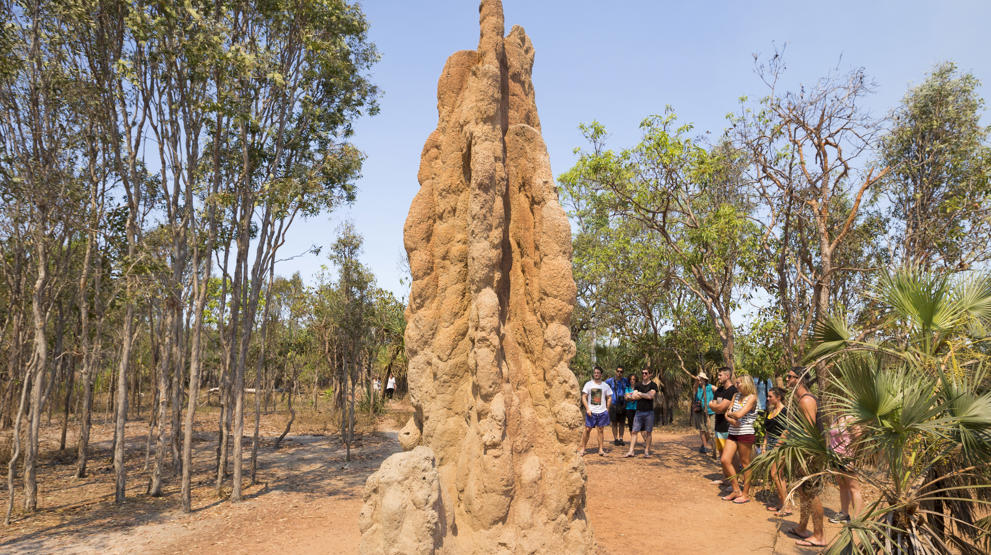 En av de fascinerende termittuene i Kakadu National Park. Foto: Wayoutback