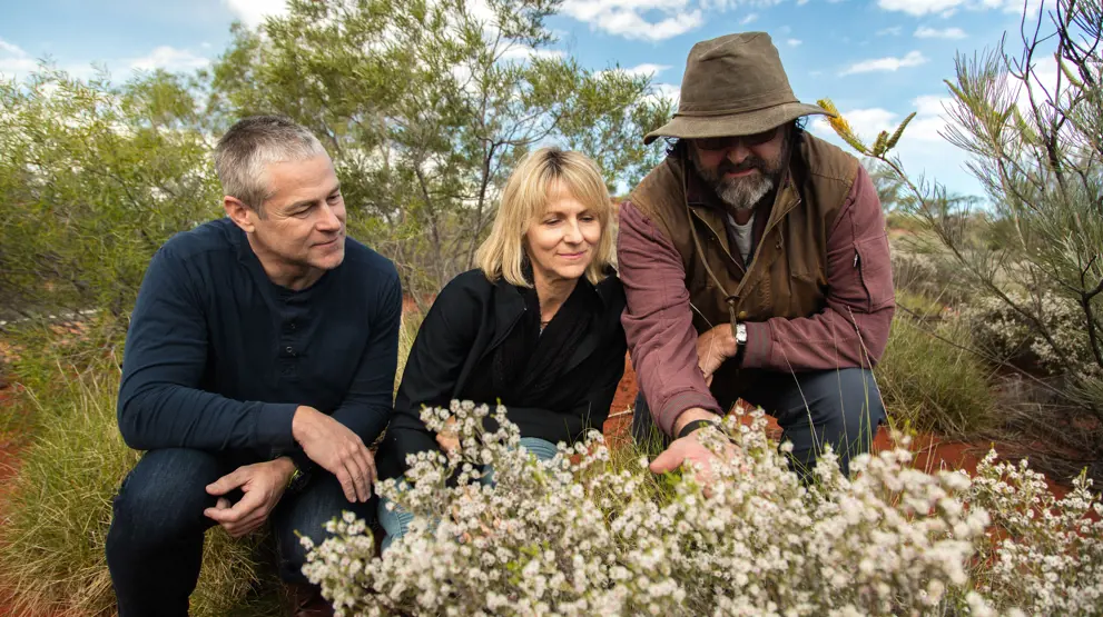 Gudiene vil lære dere om Red Centre sin rike flora og fauna. Foto: Wayoutback
