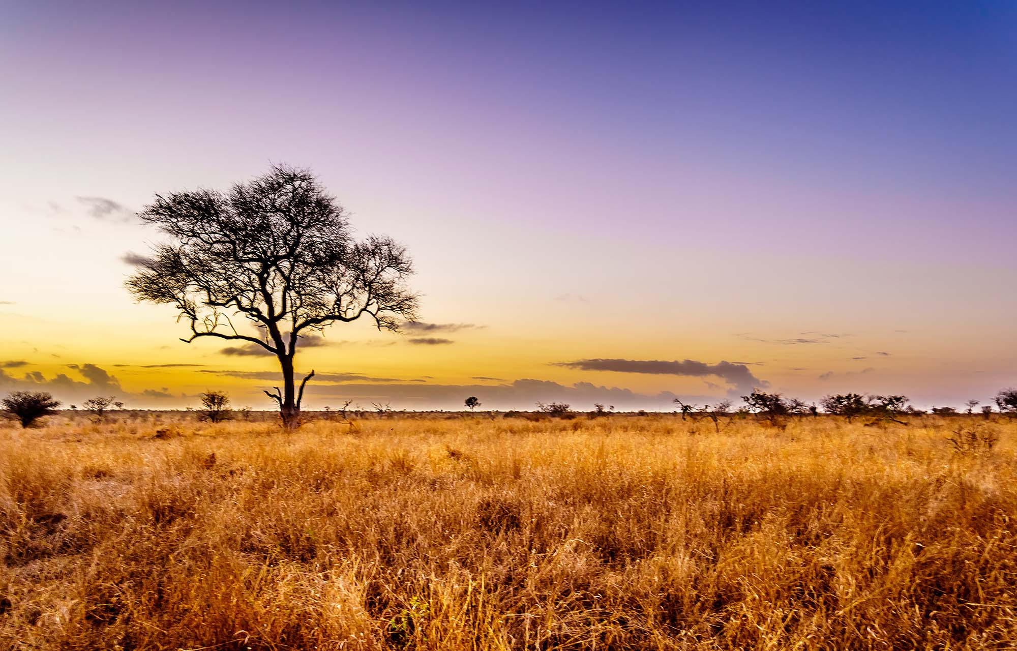 Reis til Sør-Afrika og se solnedgangen over savannen