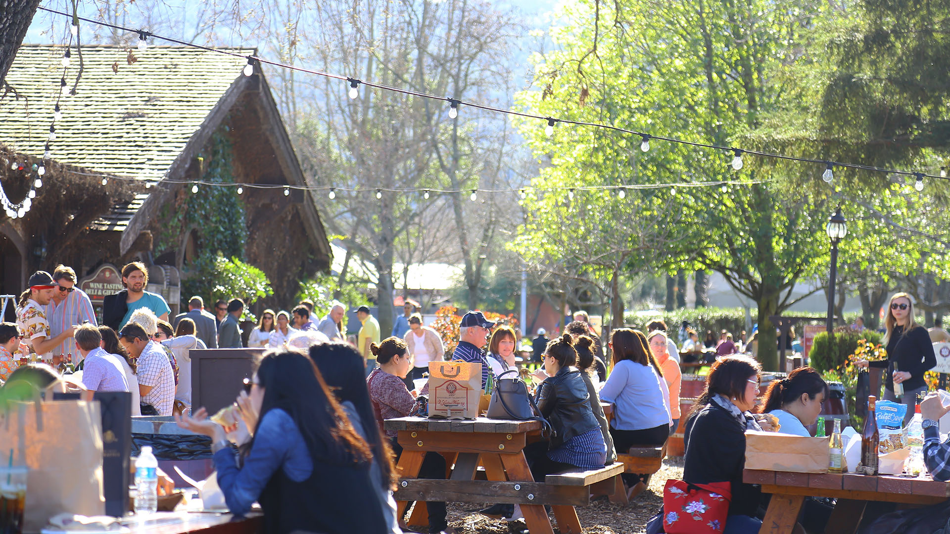 Smak på vin i Napa Valley på din reise til California