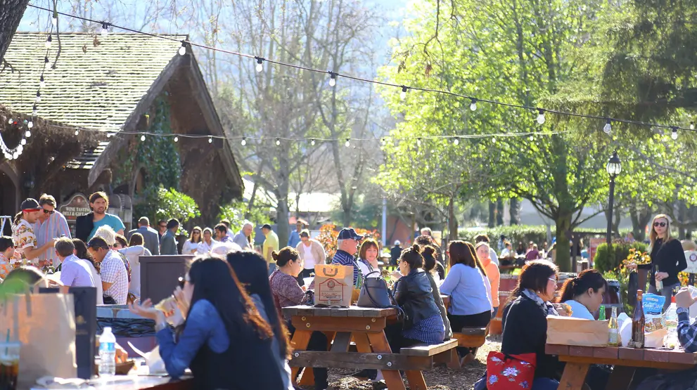 Smak på vin i Napa Valley på din reise til California