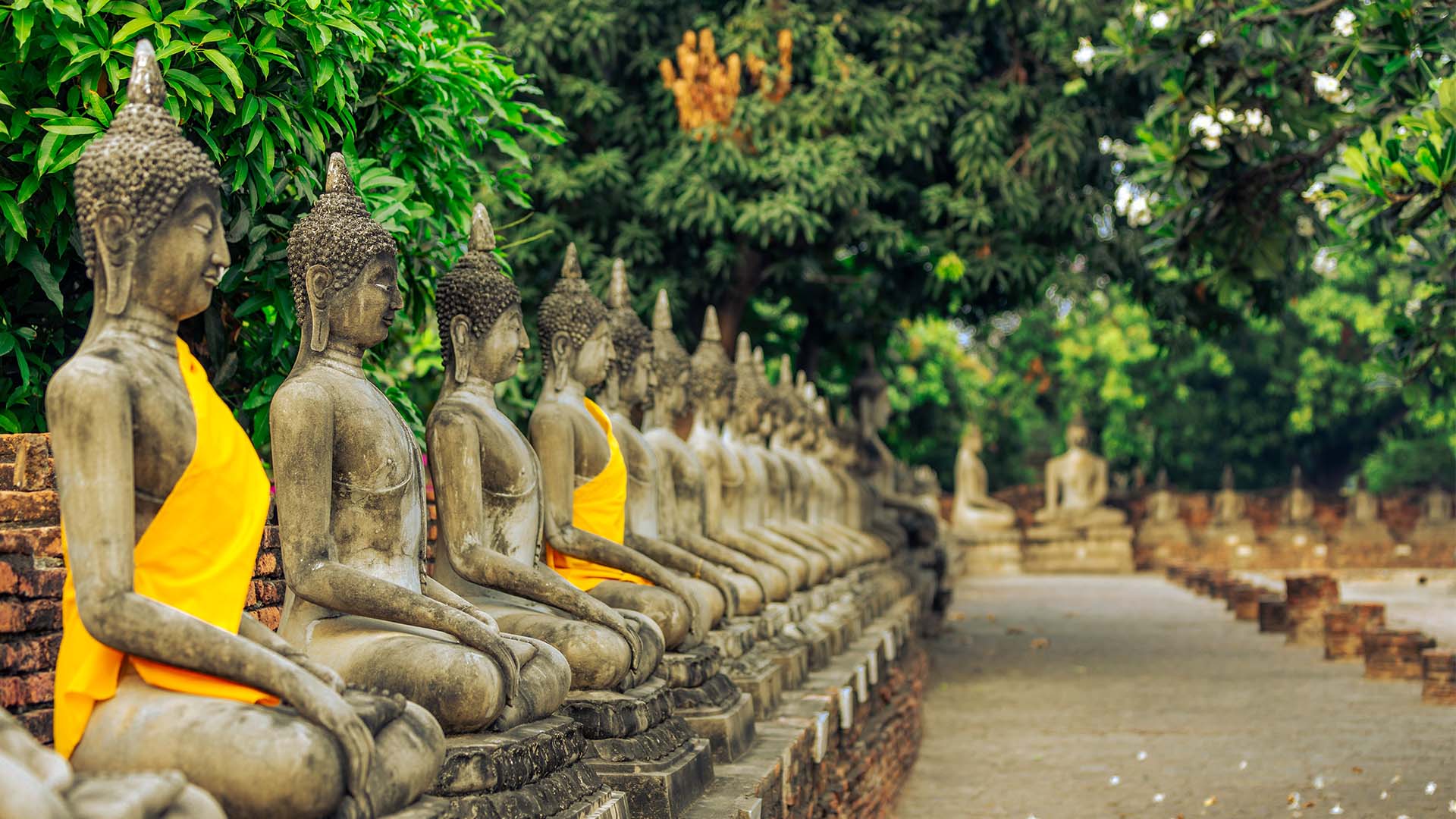 Gled dere til en spennende sykkeltur gjennom arkeologiske Ayutthaya Historical Park