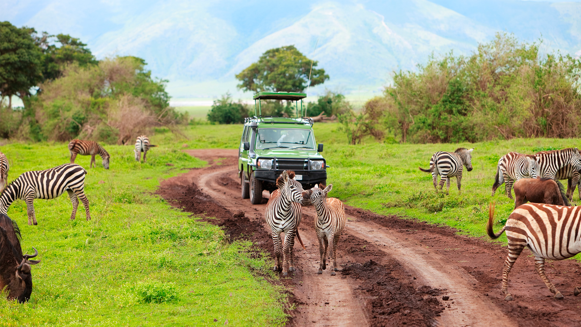 Opplev det magiske Ngorongoro-krateret