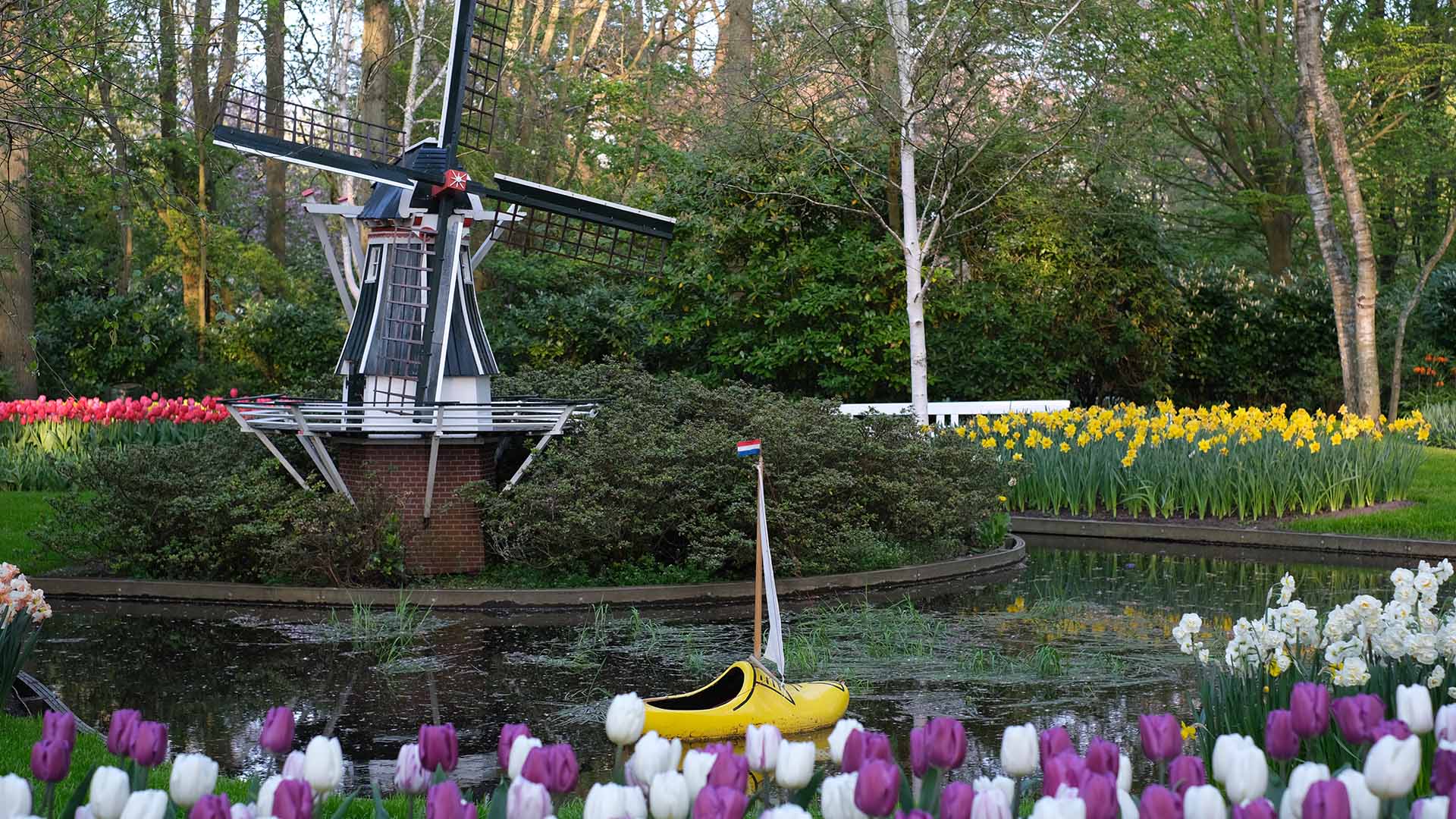 Opplev tulipanene på Keukenhof