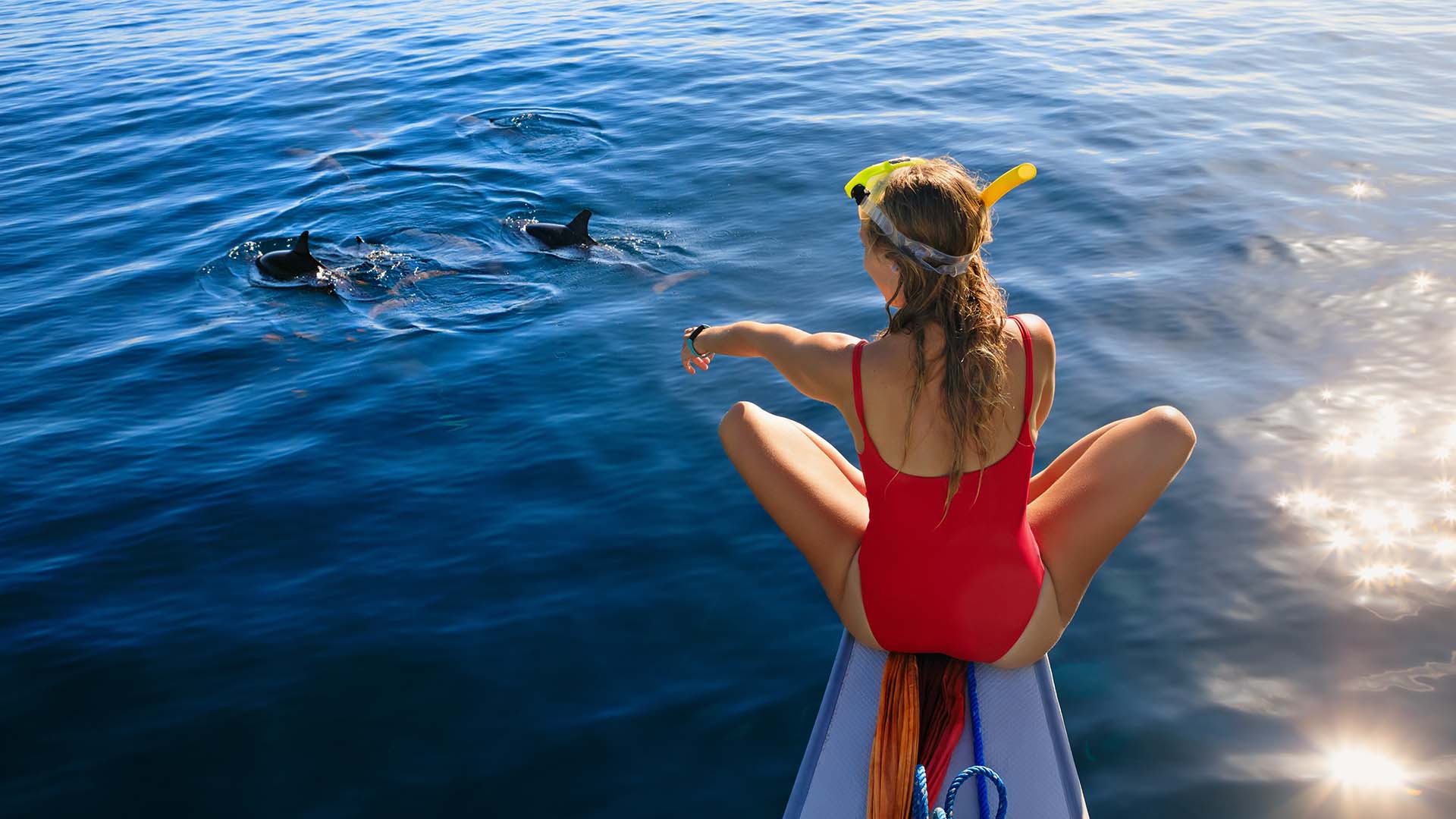  Fra Lovina på nordkysten kan du oppleve delfiner helt tett på