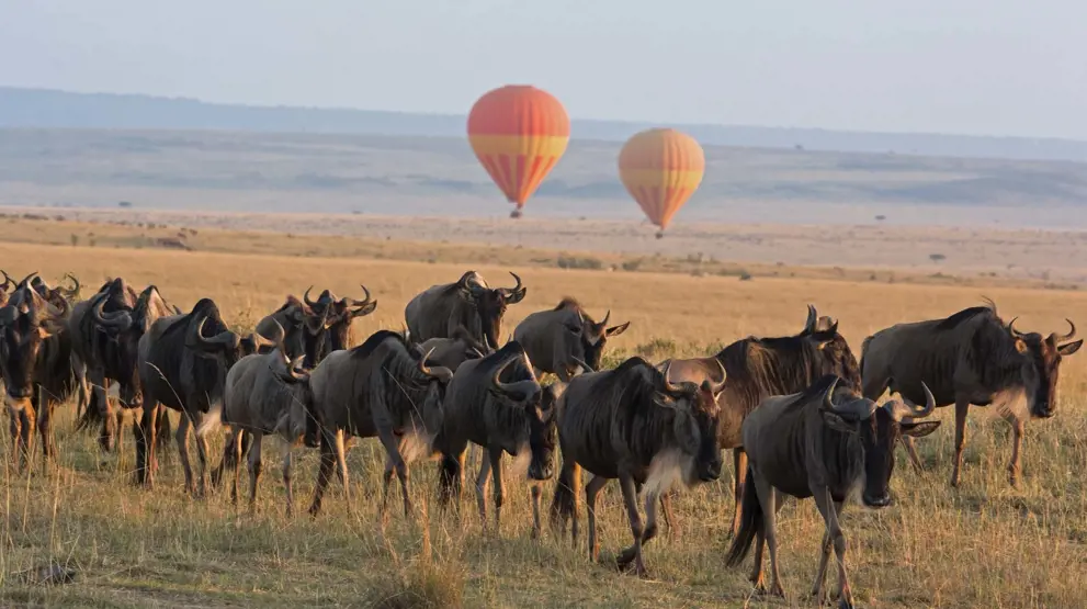 Få en enestående opplevelse med ballongsafari over savannen på safari i Afrika