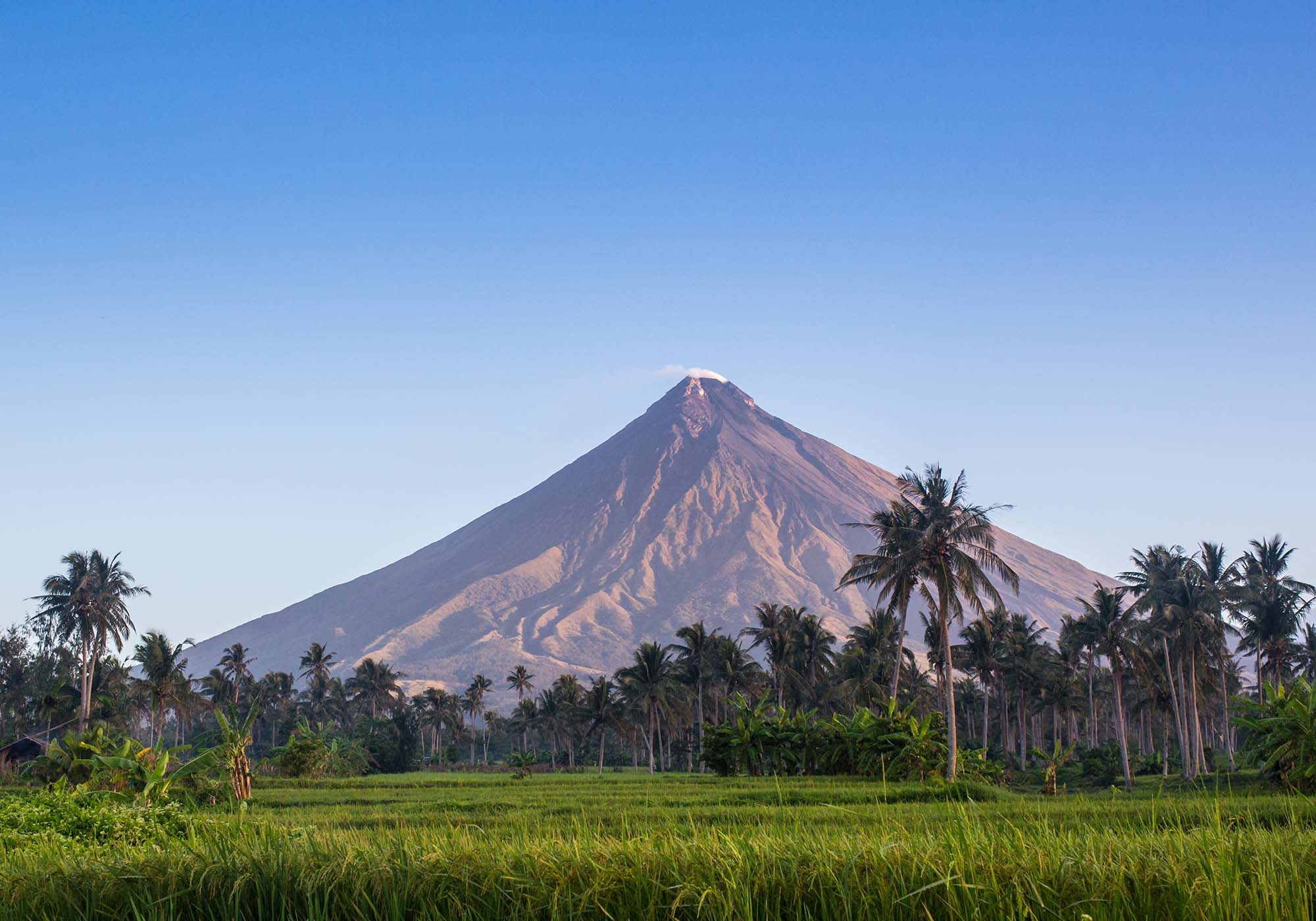 Vulkanen Mt. Mayon