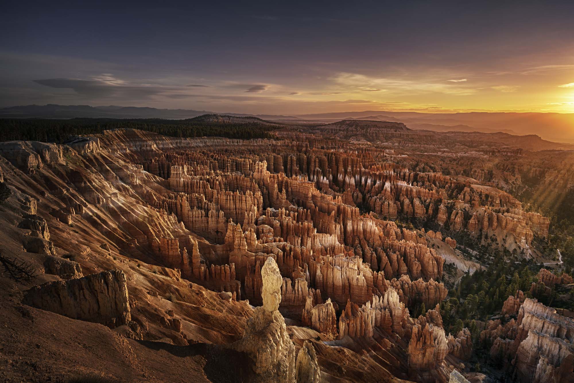 En "skog" av steinsøyler - Reiser til Bryce Canyon nasjonalpark