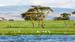 Dyrket mark omgir det meste av innsjøen - Safari ved Lake Naivasha