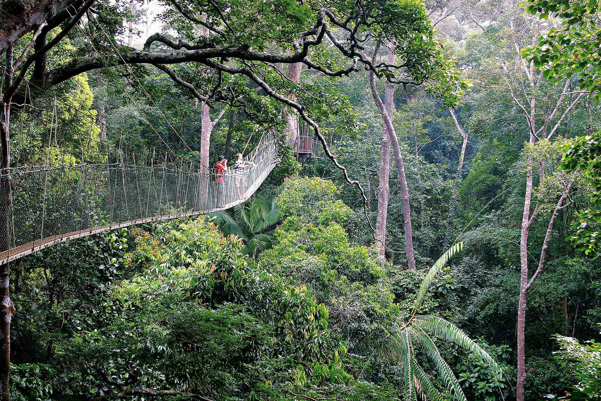 Taman Negara National Park