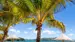 Hamilton Island - Reiser til Whitsunday Islands Hamilton Island - Reiser til Whitsunday Islands