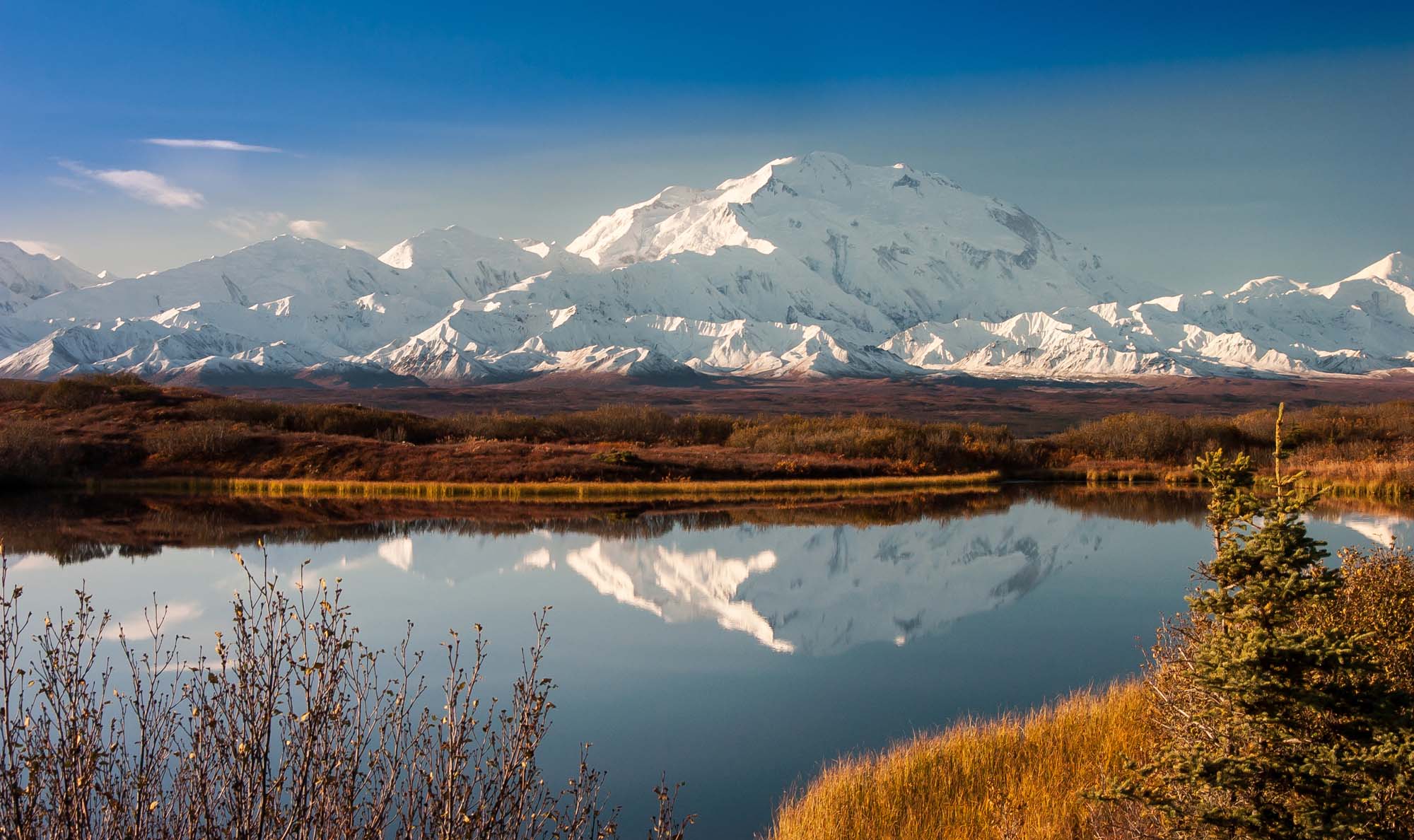 Opplev Alaskas fantastiske natur - Reiser til Denali nasjonalpark