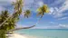 Vaiende palmer og krystallklart vann - Reiser til Fiji