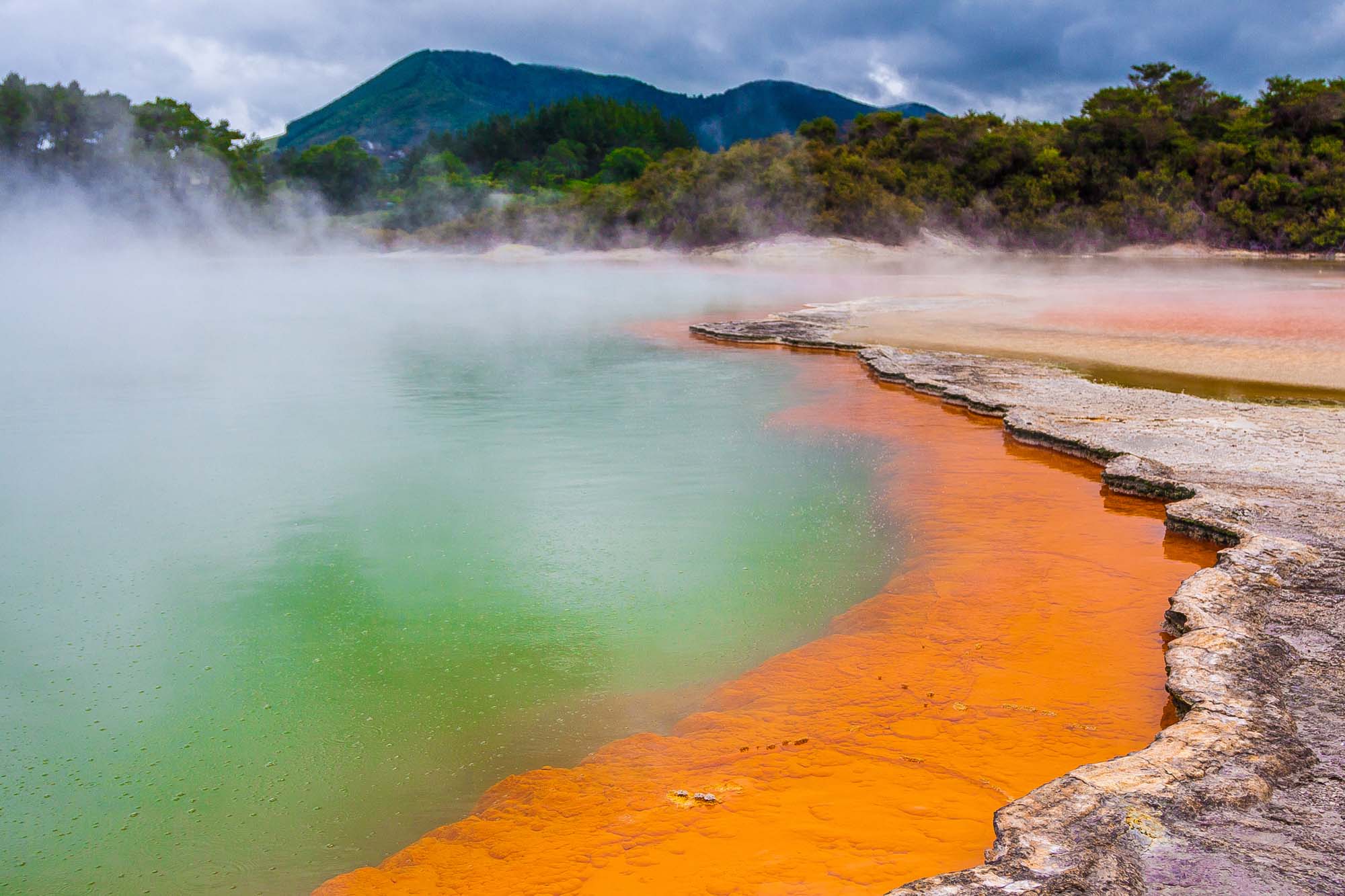Champagne Pool - Reiser til Rotorua
