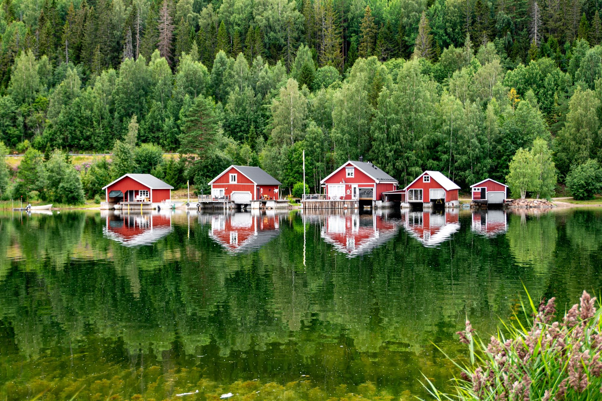 Opplev Höga Kustens storslåtte natur, der skogkledde høyder møter Østersjøen