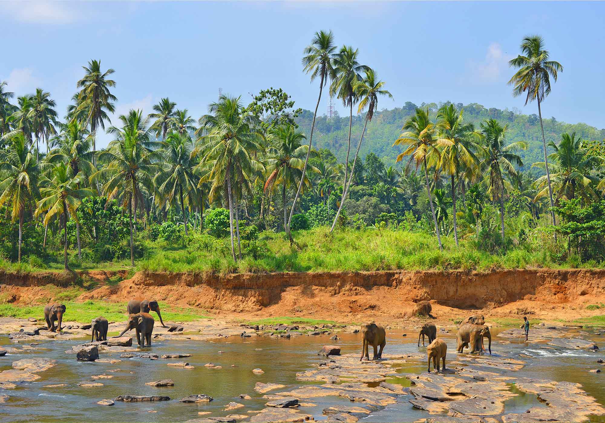 Dere kan være vitne til noen spektakulære dyreopplevelser i det frodige landet