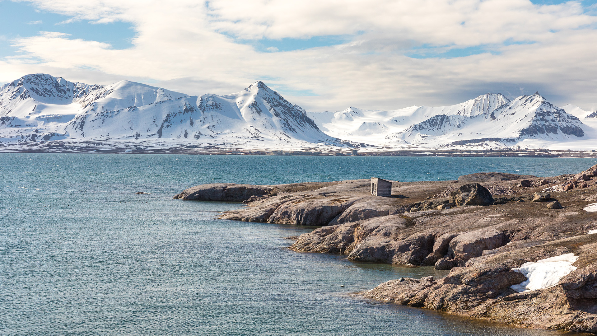 Seil med MS Trollfjord på et arktisk sommereventyr til Svalbard