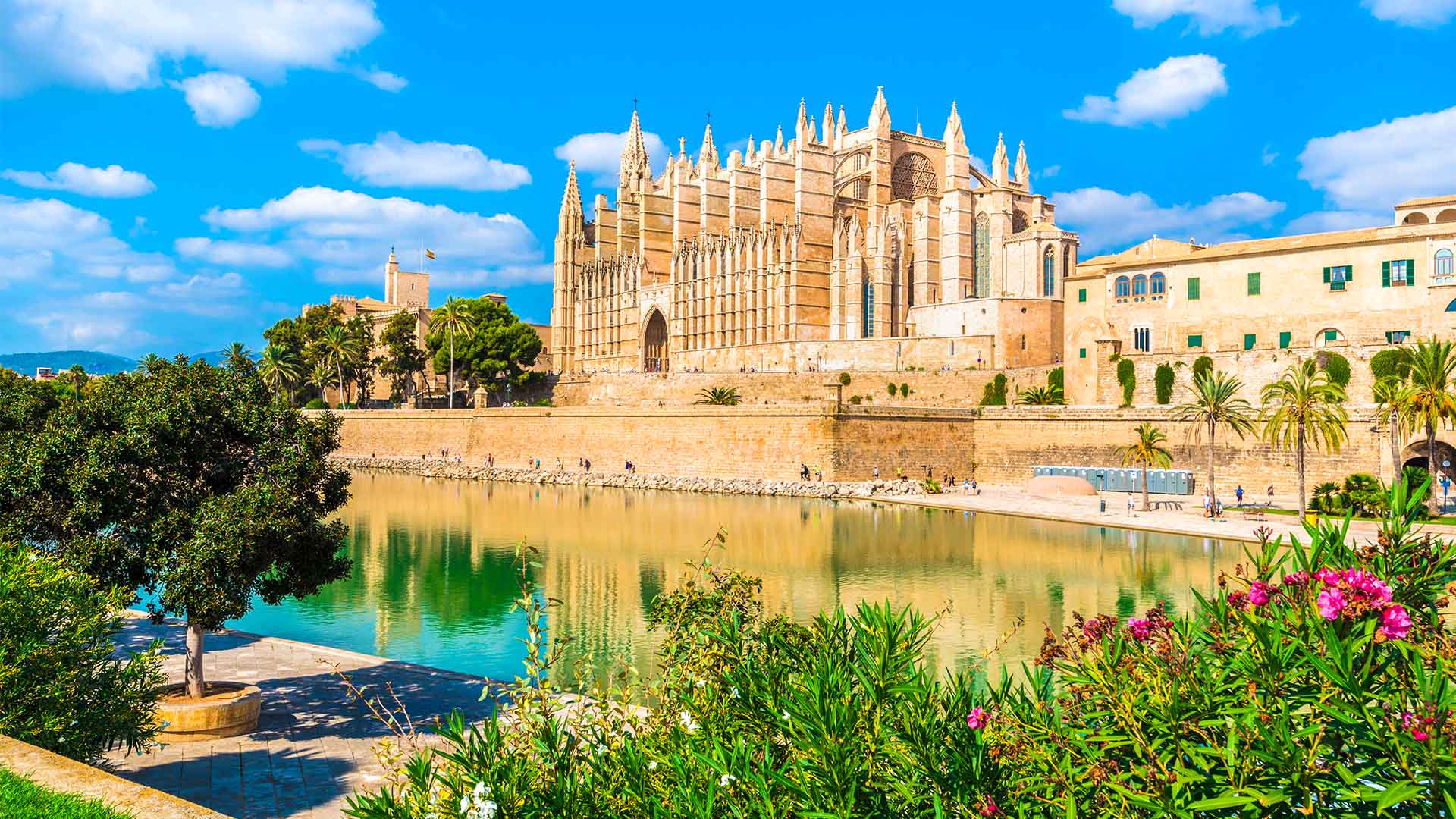 Den majestetiske gotiske katedralen La Seu ligger vakkert til ved havet i Palma de Mallorca