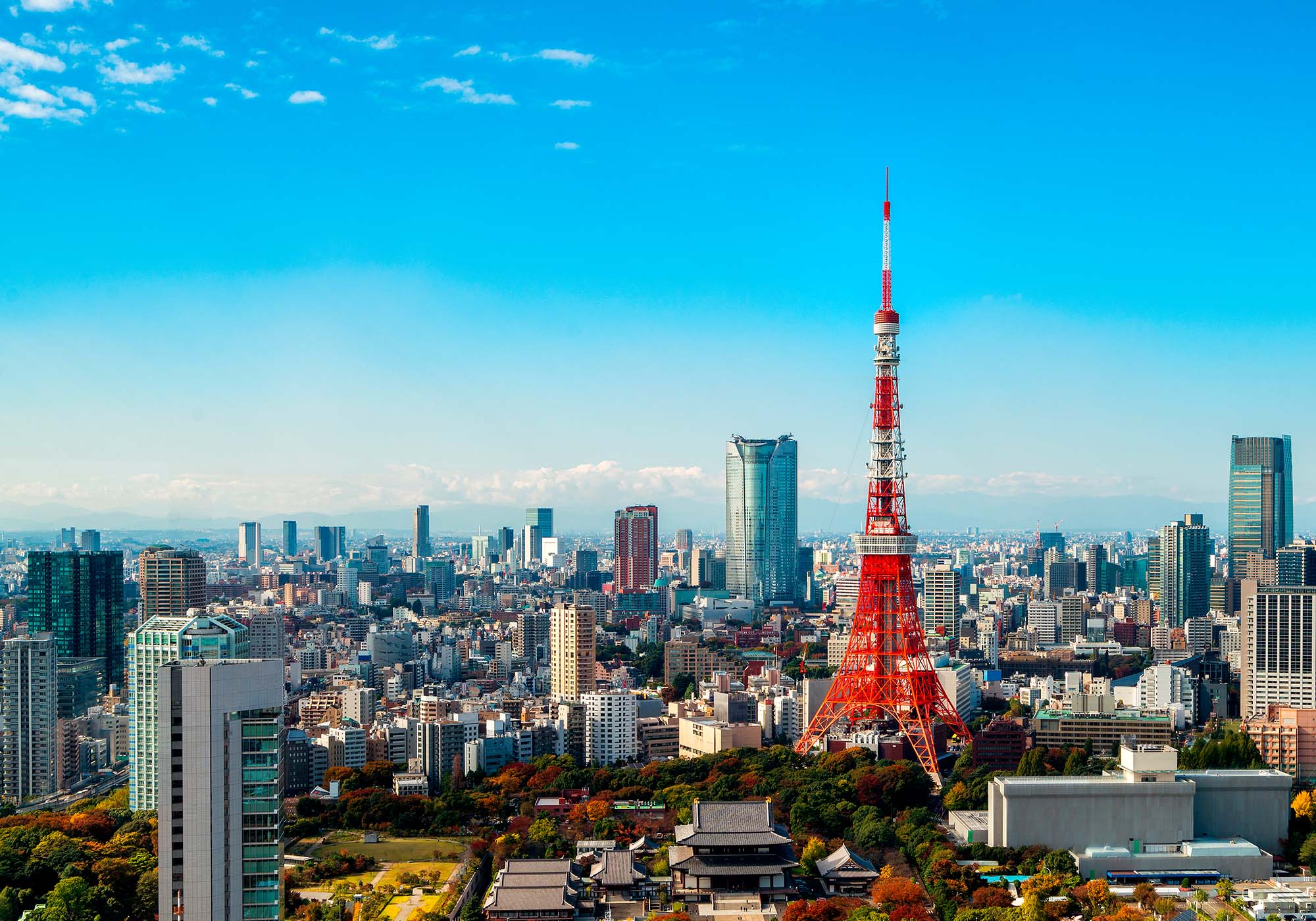  Reisen avsluttes i Tokyo hvor dere kan se det ikoniske Tokyo Tower