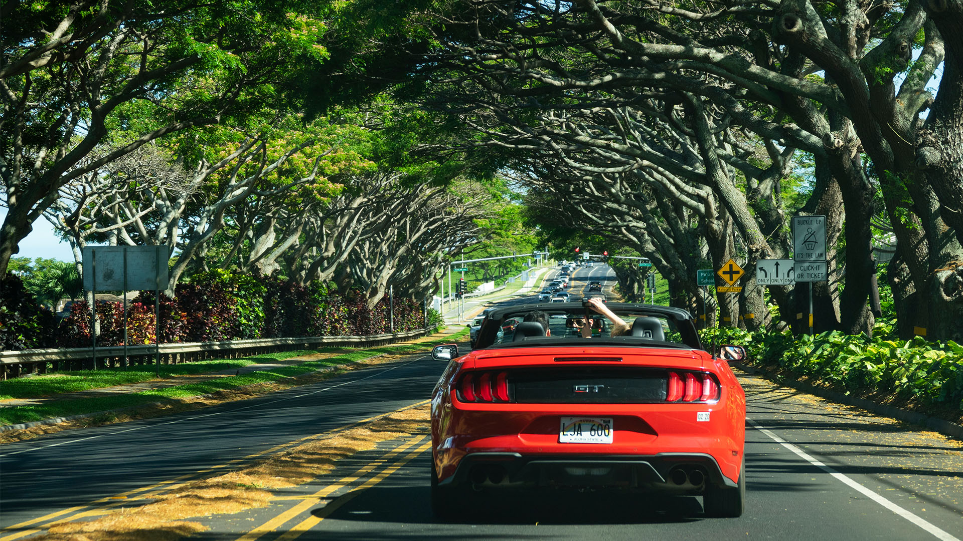 Cabriolet eller en stor SUV? BENNS rådgir deg til det rette valget for reisen din. Foto: @VisittheUSA.com