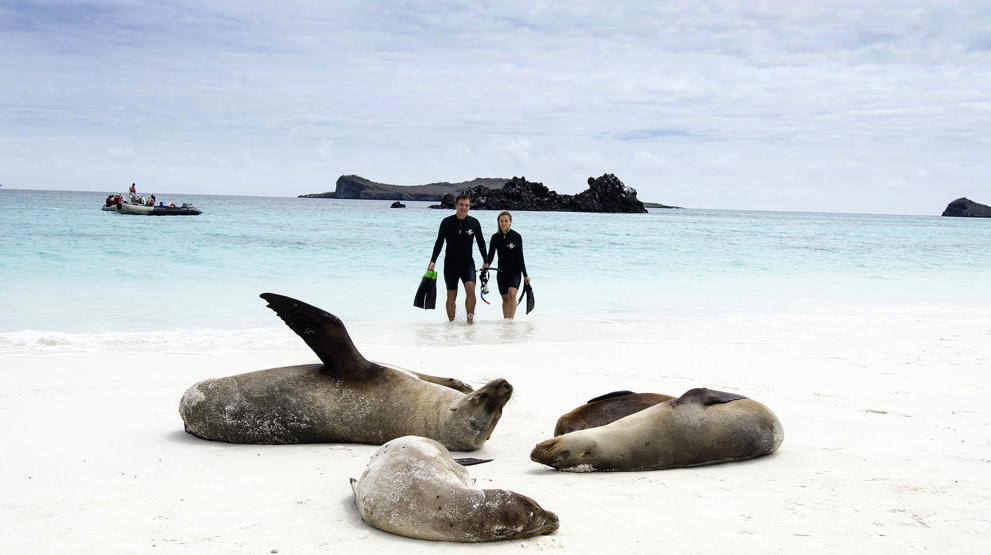 Reis til fantastiske Galapagos | Photocredit: Celebrity Cruises