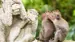 Ubud Monkey Forest på Bali