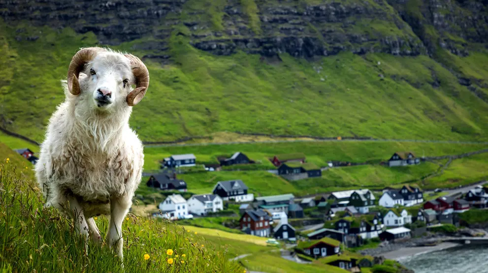 Få hjelp fra BENNS' Færøyene-eksperter til å skreddersy din ferie