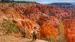 En besøkende ser utover landskapet fra en tursti - Reiser til Bryce Canyon nasjonalpark 