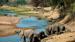En elefantflokk har funnet et vannhull i Ruaha nasjonalpark - Safari i Tanzania