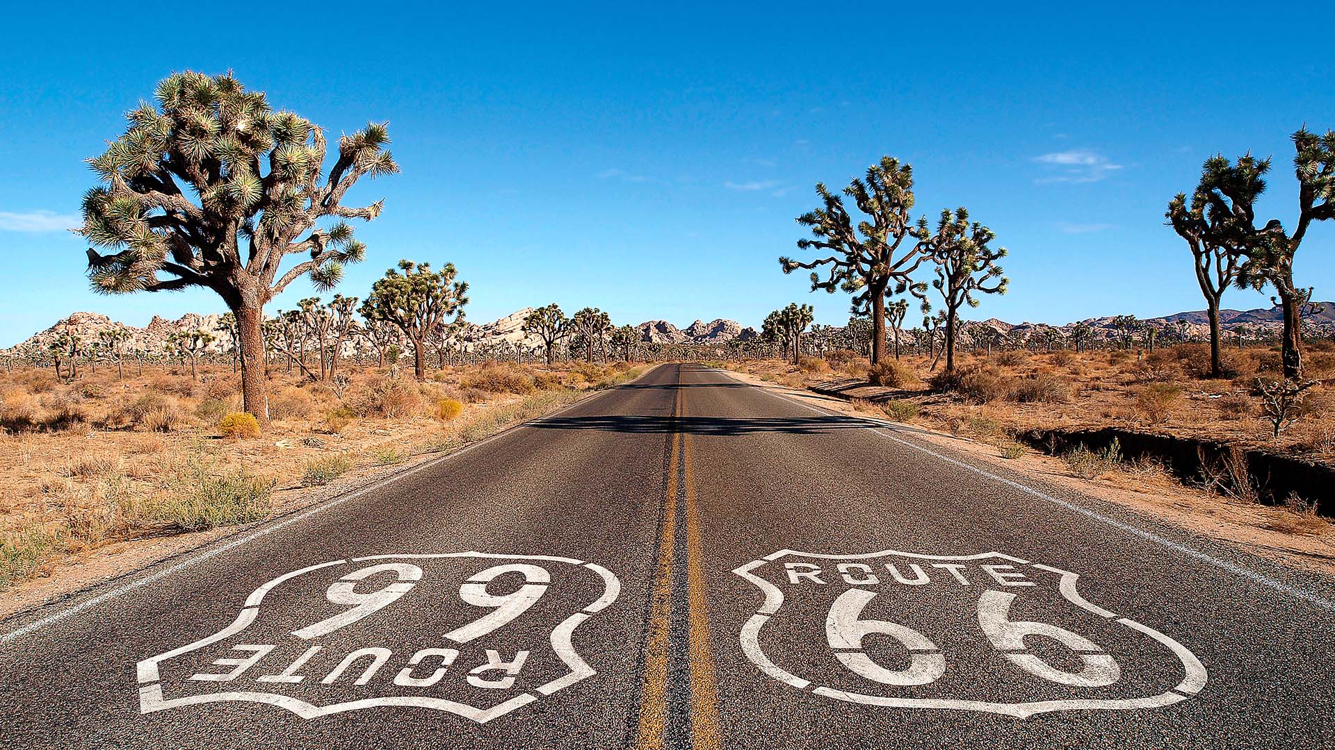 En roadtrip på Route 66 er en drøm for mange USA-elskere