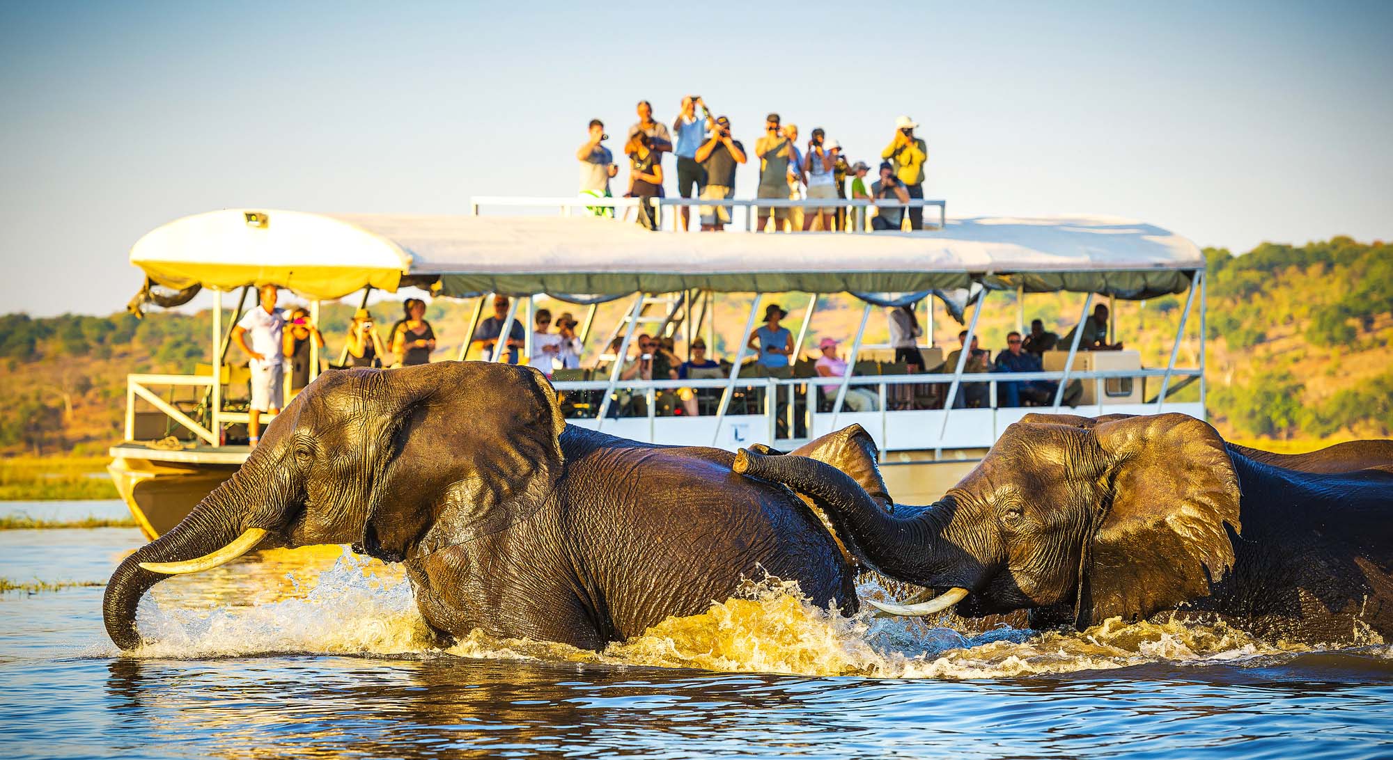 Reiser til Botswana | Elvsafari i Chobe National Park