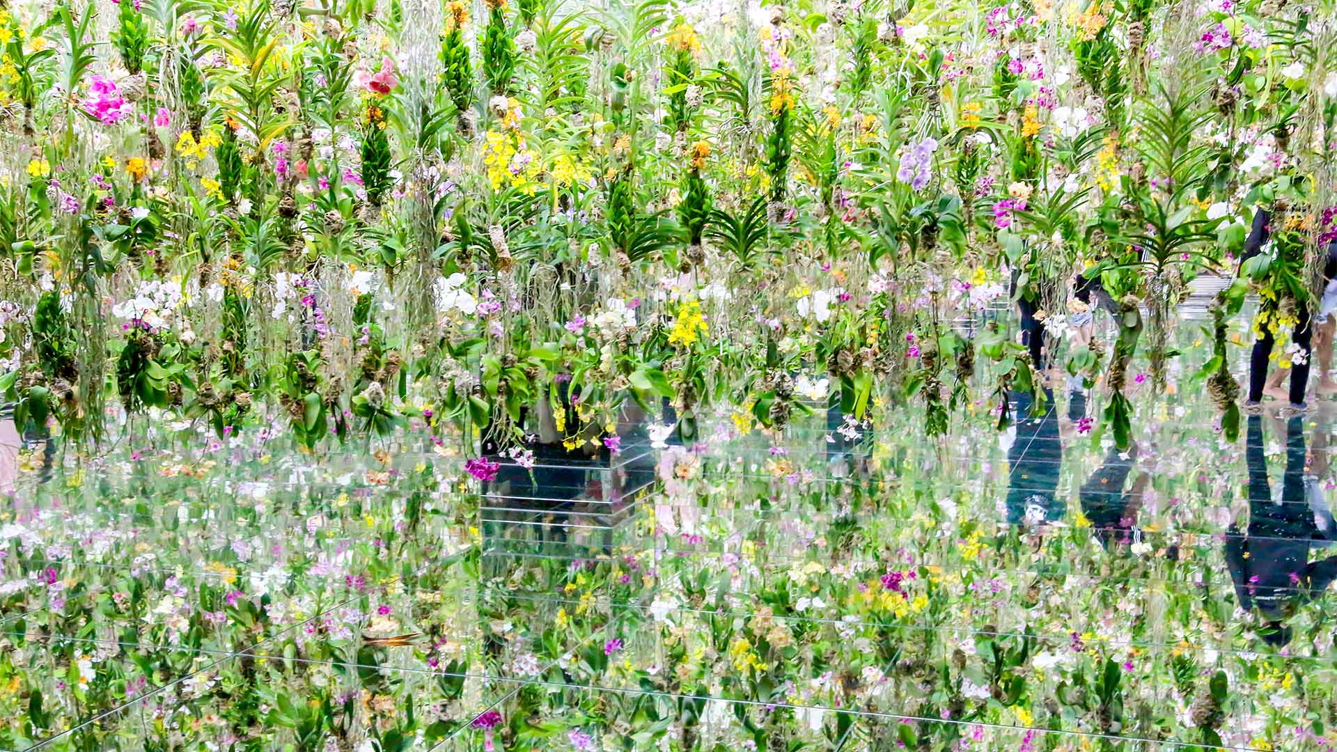 Det interaktive museet teamLab Planets er noe du bare kan oppleve i Tokyo