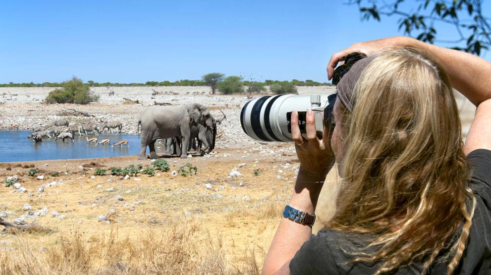 Ha kameraet klart når dere er vitner til dyrelivet i Etosha National Park, Namibia 