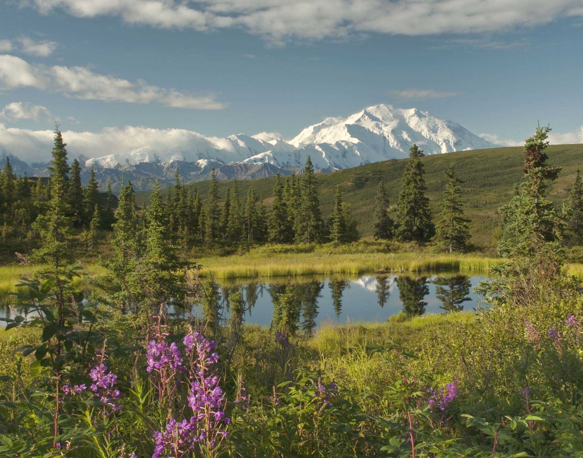 Denali National Park, Alaska
