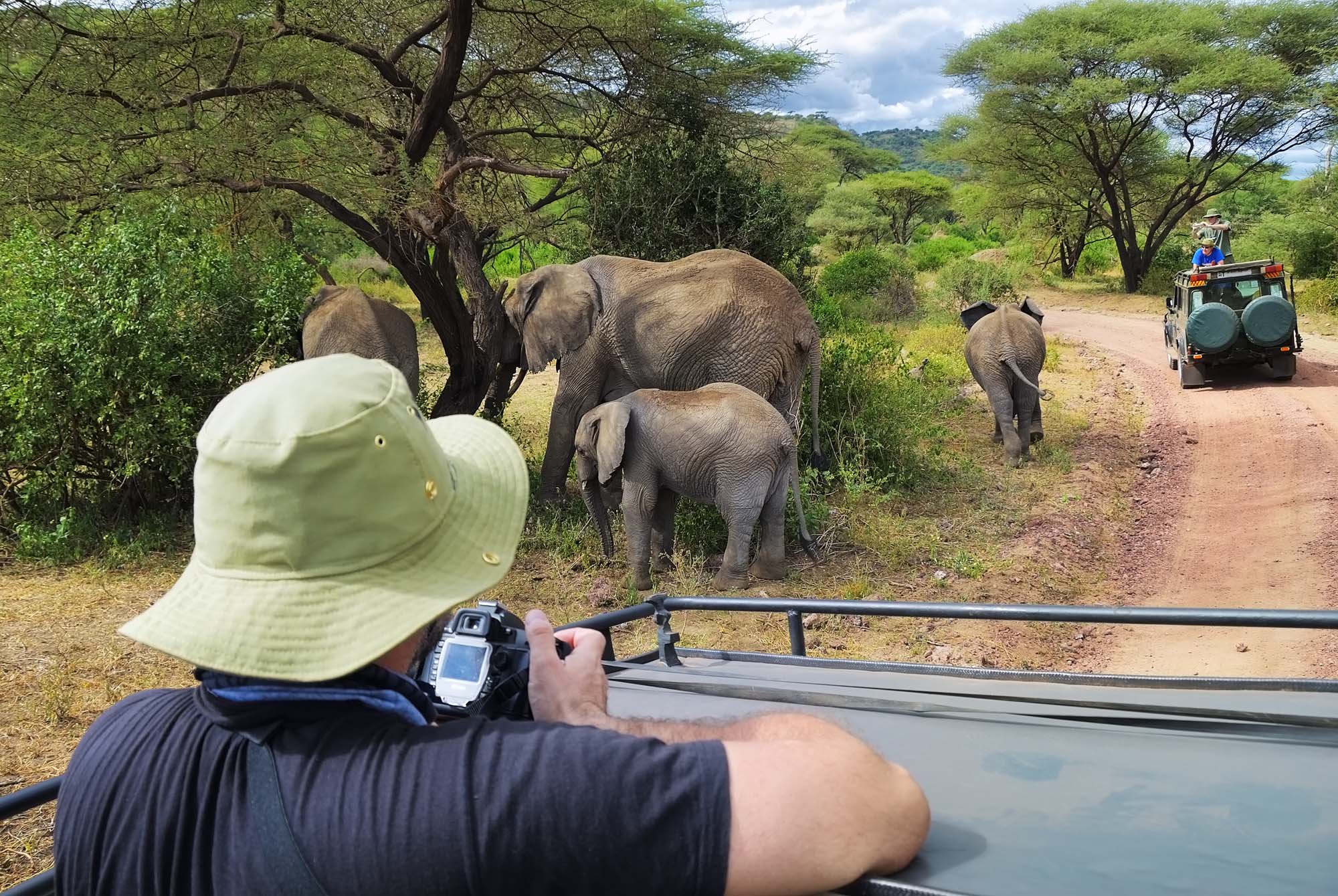 Game drive i Lake Manyara National Park