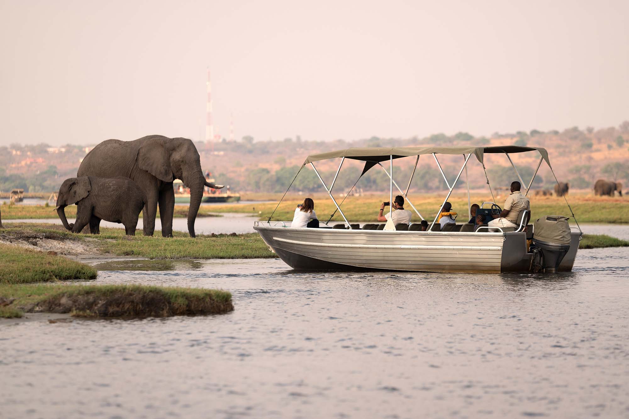 africa-botswana-chobe-shutterstock_500573446