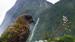 Kea papegøye i Fiordlands National Park