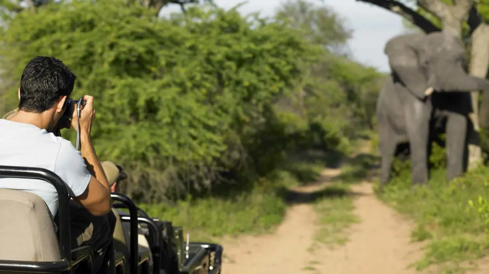 Kombiner jordomreisen med safari i Afrika