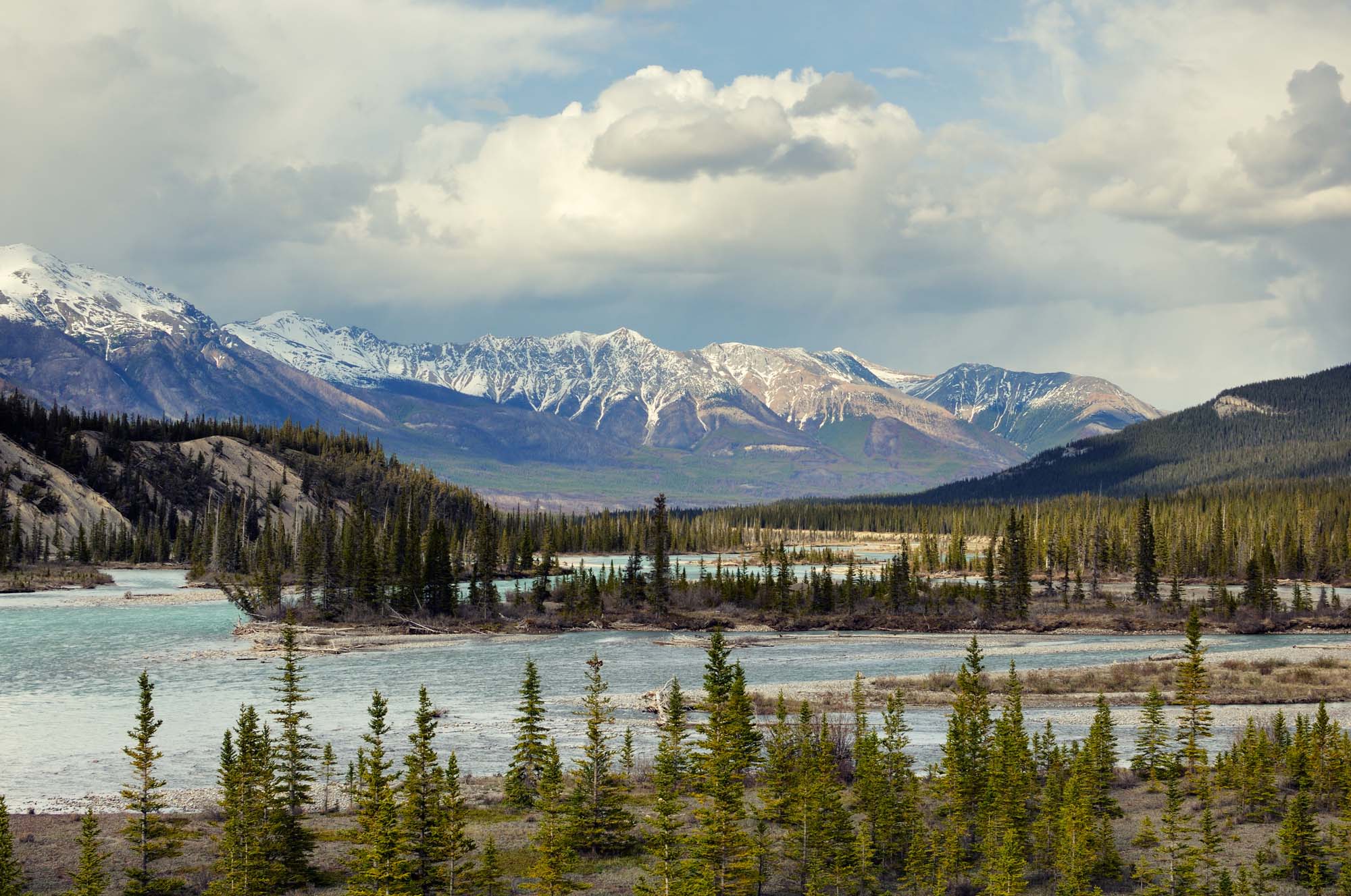 Noe av det vakre landskapet ved North Saskatchewan River Valley