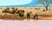 africa-kenya-tsavo-east-Elephants-iStock-492483888
